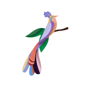 AVE DEL PARAÍSO, BISA. STUDIO ROOF