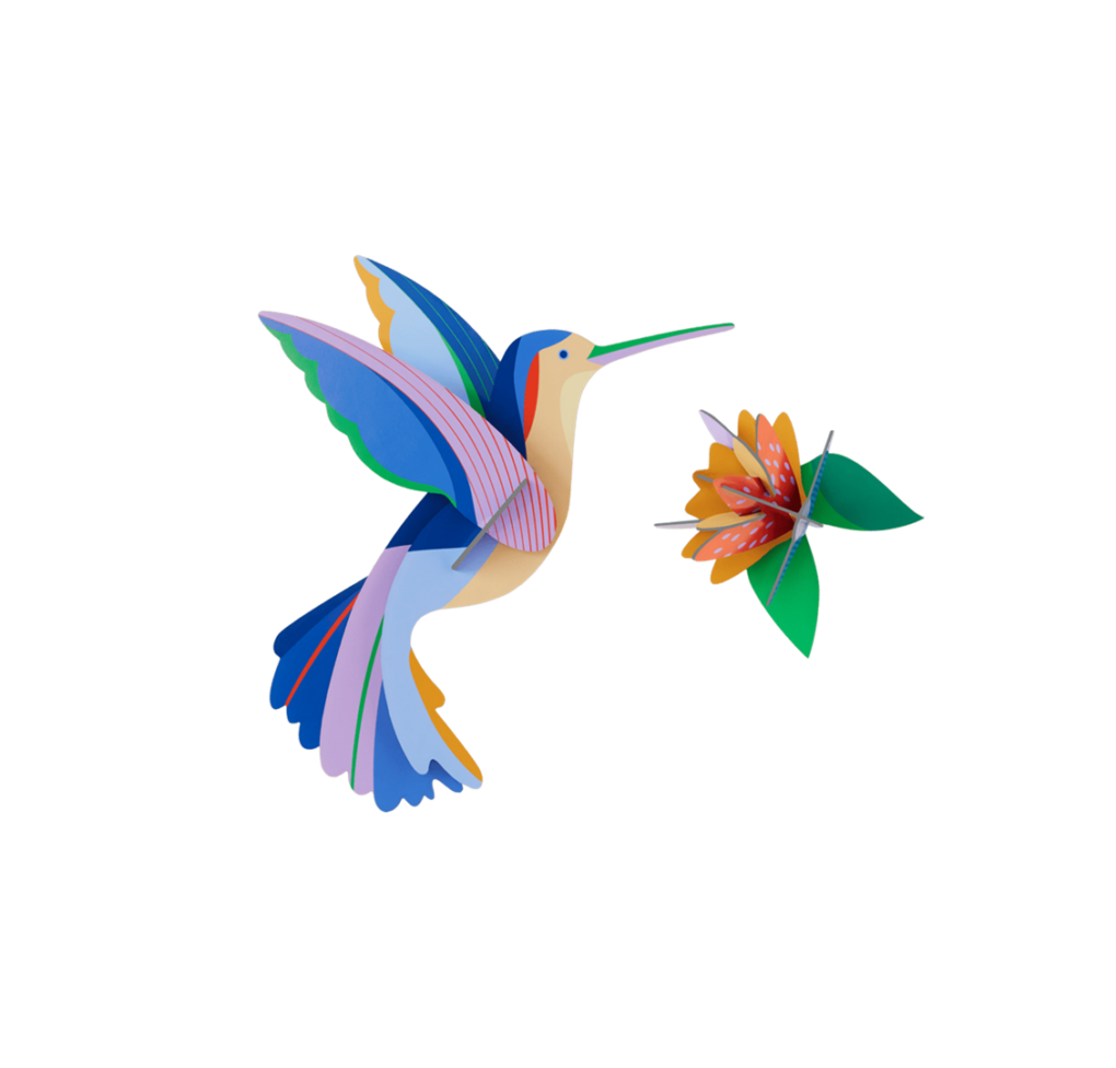 COLIBRÍ. STUDIO ROOF