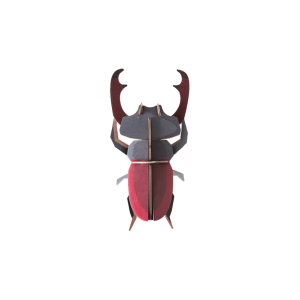 ESCARABAJO CIERVO. STUDIO ROOF