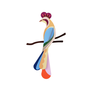 AVE DEL PARAÍSO, SUNDA. STUDIO ROOF