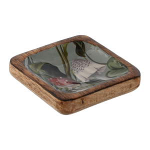 VACIABOLSILLOS SETAS